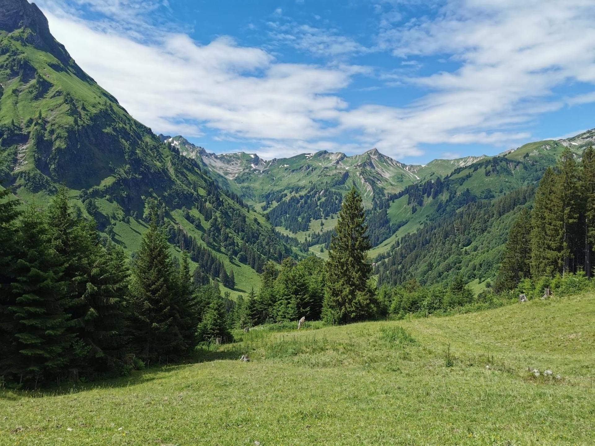 Konstanzer Bergblick Mit Wintergarten Oberstaufen Dış mekan fotoğraf